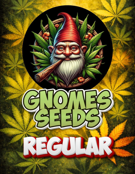 NYC Diesel Regular (Gnomes Seeds)-Gnomes Seeds-GnomesGarden