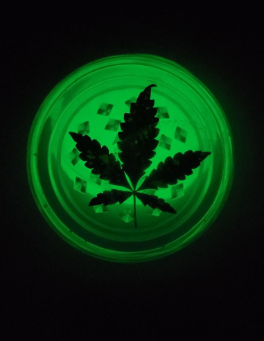 Fluorescenční Drtič Se Sušeným Listem-Akcesoria-GnomesGarden