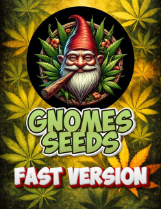 ZA 1,7 EURA Fast Rosetta Skunk Feminizované (Gnomes Seeds)