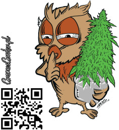 Fast Serious 6 Fem (Gnomes Seeds)