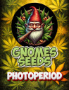 POR 1,7 EURO Banana Split Feminizadas (Gnomes Seeds)