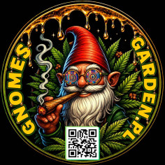 Gnomo Collector Pack 10 seeds - Gnomes Seeds
