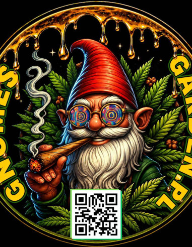 Gnomo Collector Pack 10 seeds - Gnomes Seeds-Sklep Gnomes Garden-GnomesGarden