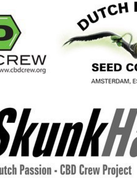 CBD SkunkHaze Feminized (Dutch Passion)-Dutch Passion-GnomesGarden