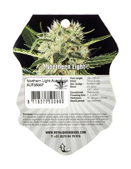 Northern Light  Feminisierte (Royal Queen Seeds)-Royal Queen Seeds-GnomesGarden
