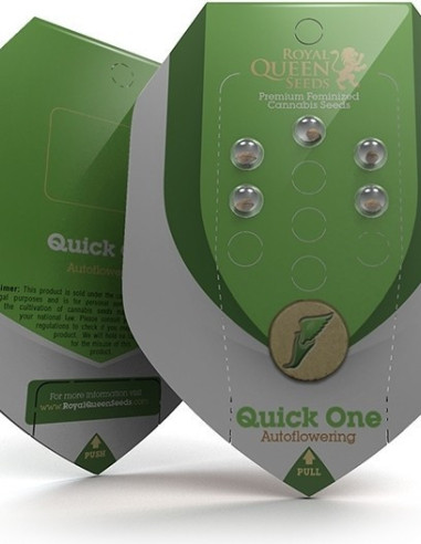 Quick One Feminized auto (Royal Queen Seeds)-Royal Queen Seeds-GnomesGarden