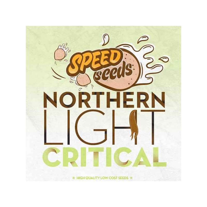 NORTHERN LIGHT X CRITICAL Feminizowane (Speed Seeds)