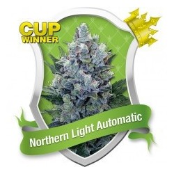 Northern Light Automatic Feminized (Royal Queen Seeds)