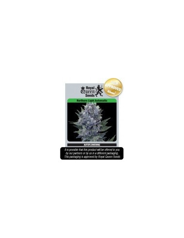 Northern Light Automatic Feminizowane (Royal Queen Seeds)-Royal Queen Seeds-GnomesGarden