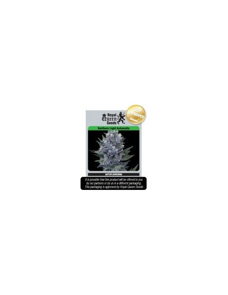 Northern Light Automatic Feminizowane (Royal Queen Seeds)-Royal Queen Seeds-GnomesGarden