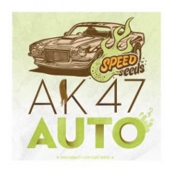 AK47 Auto Feminized (Speed Seeds)