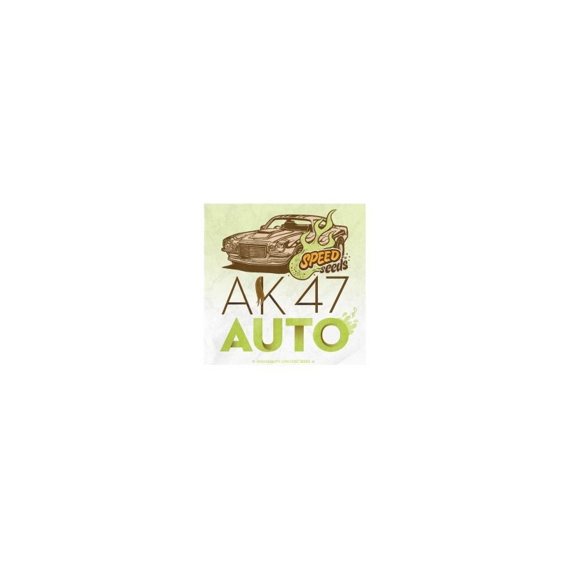 AK47 Auto Feminized (Speed Seeds)