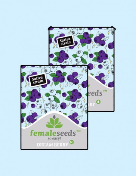 Dream Berry Feminizowane (Female Seeds)-Female Seeds-GnomesGarden