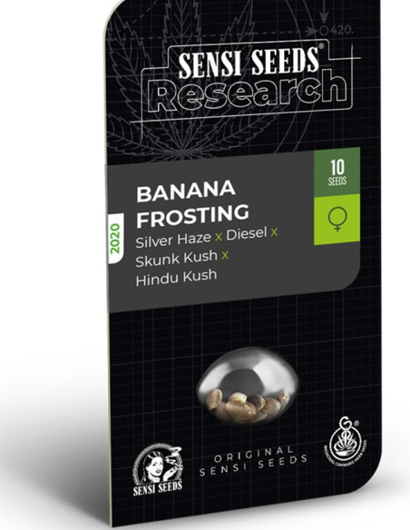 Banana Frosting Feminised (Sensi Seeds)-Sensi Seeds-GnomesGarden