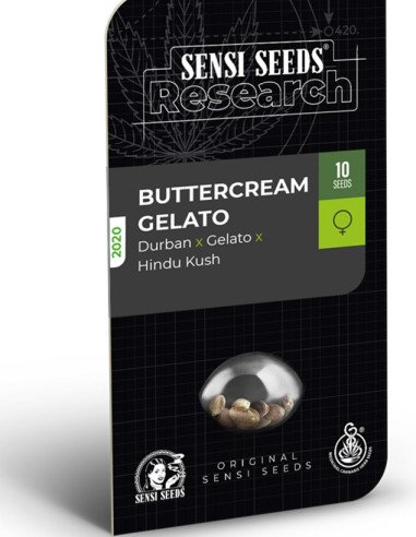 Buttercream Gelato Feminizowane (Sensi Seeds)