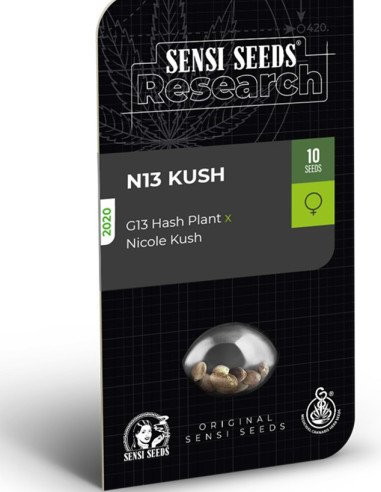 N13 Kush Feminizowane (Sensi Seeds)