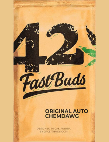 Auto Original Chemdawg Feminizowane (Fastbuds)-FastBuds-GnomesGarden