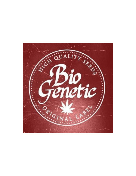 Serious 6 Feminised (BioGenetic)-Biogenetic-GnomesGarden