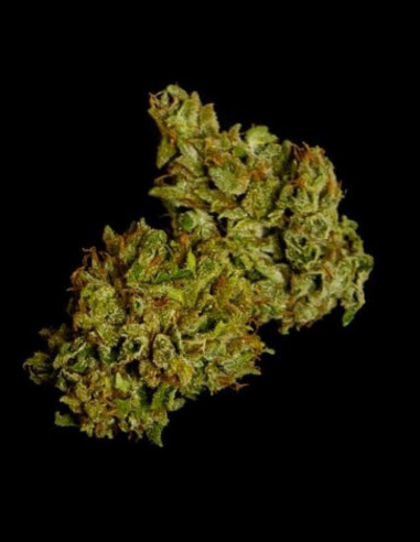 Cosmos F1 CBD Feminized (Royal queen Seeds)-Royal Queen Seeds-GnomesGarden