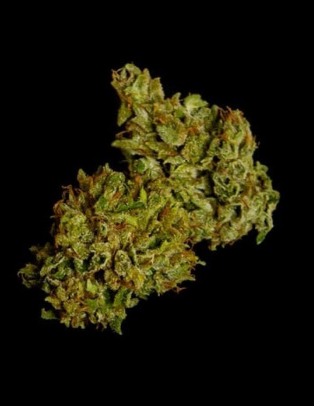 Cosmos F1 CBD Feminized (Royal queen Seeds)-Royal Queen Seeds-GnomesGarden