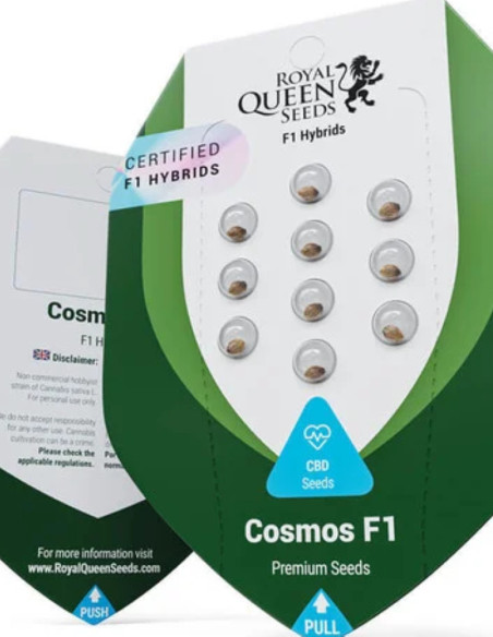 Cosmos F1 CBD Feminized (Royal queen Seeds)-Royal Queen Seeds-GnomesGarden