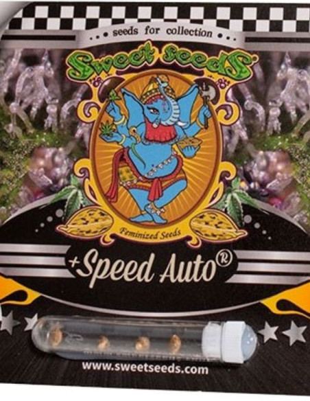 + Speed Auto Feminized (Sweet Seeds)-Sweet Seeds-GnomesGarden