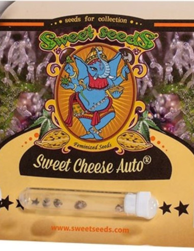 Sweet Cheese Auto Feminizowane (Sweet Seeds)-Sweet Seeds-GnomesGarden