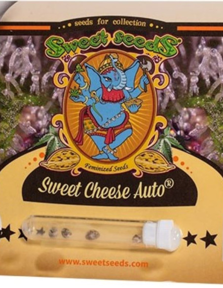 Sweet Cheese Auto Feminized (Sweet Seeds)-Sweet Seeds-GnomesGarden