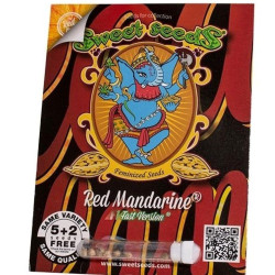 Red Mandarine F1 Fast Version Feminizowane (Sweet Seeds)