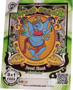 Sweet Skunk Fast Version Feminizowane (Sweet Seeds)