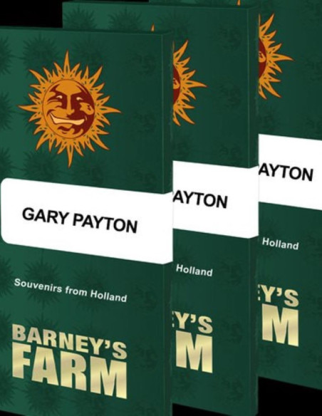 Gary Payton Feminized (Barney's Farm)-Barney`s Farm-GnomesGarden