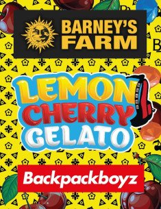 Lemon Cherry Gelato Feminizowane (Barney's Farm)