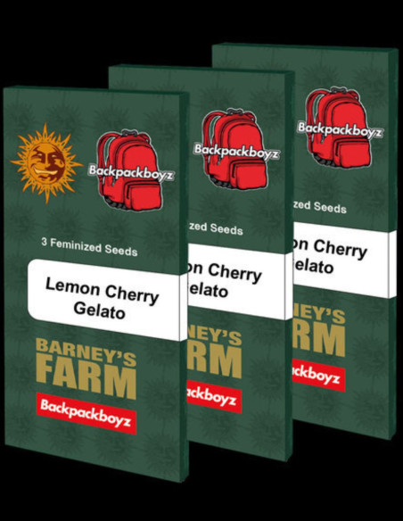 Lemon Cherry Gelato Feminized (Barney's Farm)-Barney`s Farm-GnomesGarden