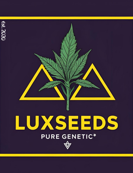 Gravity 2.0 Feminizowane (LuxSeeds)-LuxSeeds-GnomesGarden