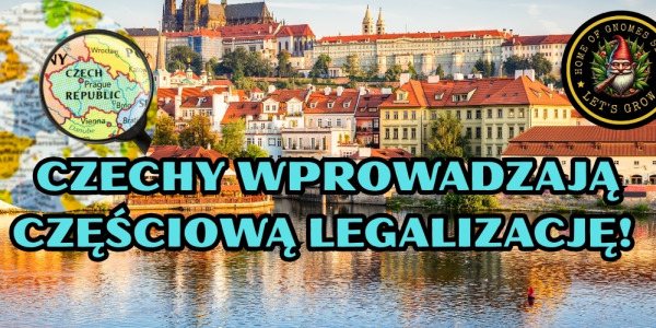 Czechy 2026: częściowa legalizacja marihuany – co dokładnie zmieniło się w prawie?