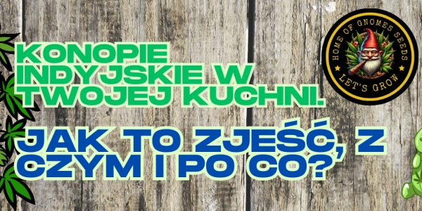 Konopie indyjskie w twojej kuchni. Jak to zjeść, z czym i po co?