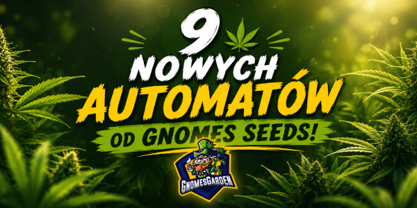 9 nových autoflowering odrůd od Gnomes Seeds právě dorazilo do zahrady