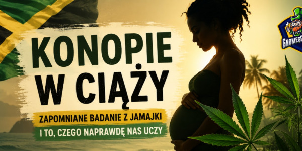 Cannabis v těhotenství – kontroverzní jamajská studie a proč o ní věda stále diskutuje