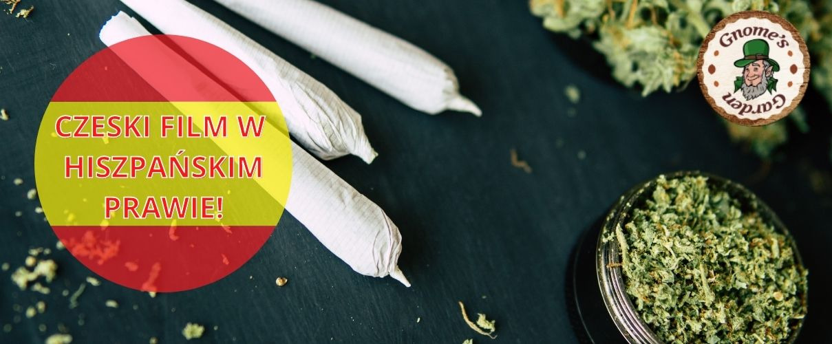 El cine checo en el derecho español, o la cuestión del cannabis y la marihuana en España.